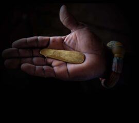 Wassapep_Header4