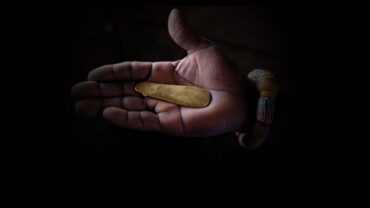 Wassapep_Header4